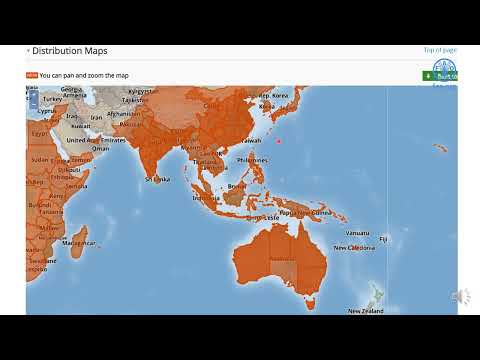 FAO training for Pacific SIDS - IPM application in corn