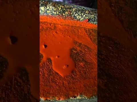¿Sabías que los Mayas usaban esto como moneda?