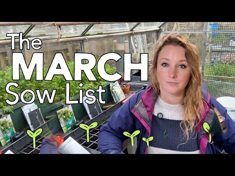 The MARCH Seed List || Everything I'm Sowing this month on the Allotment