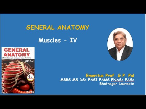 20. Muscles Part-IV (General Anatomy)
