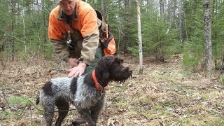 Enseñando los respetos con Jason Carter - Parte 2