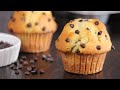 Chocolate Chip Muffins | Bakery Style Muffins | How Tasty Channel