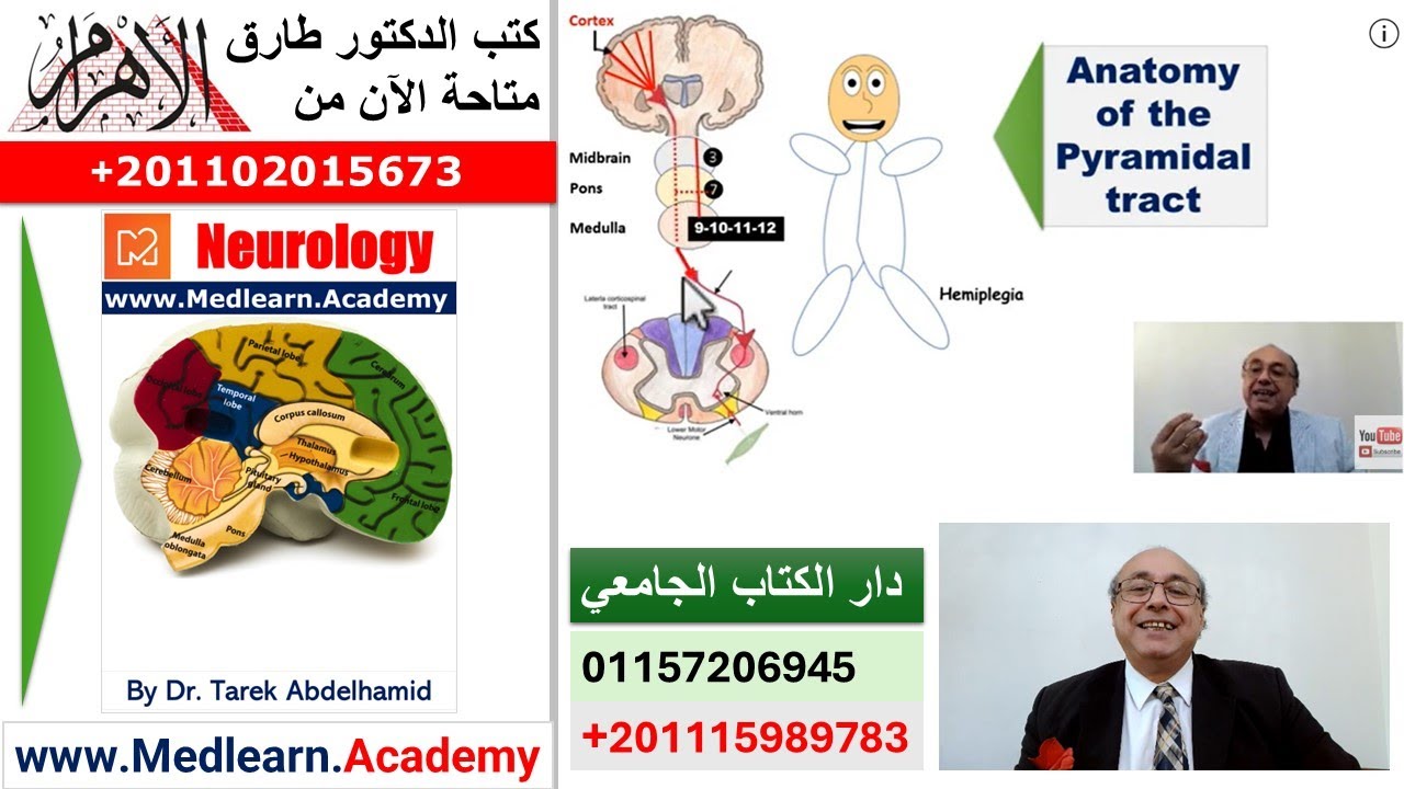 Localization of Neurological Lesions (Part 1)