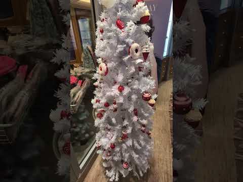 Thumbnail for Cruise Ship Christmas Tree Lighting. A Great Way to Start The Holidays!