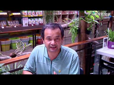 3招挑壞蛋！挑蛋達人報給你知