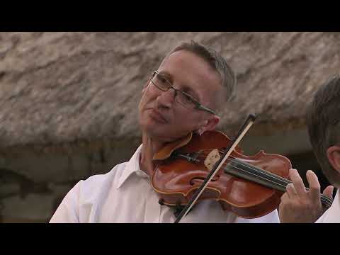 Rajko Suhodolčan i Faringaši - Zagorski sam bećar pravi