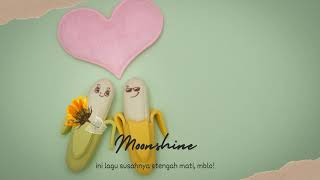 Moonshine (Sara Haze) - a cover version