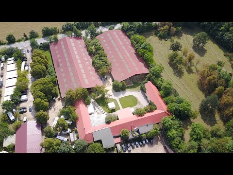 ARHA REINING FUTURITY --- Mittwoch --- 18 August 2021