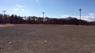 K9 Cycle 2dog scooter Laika &amp; Vega