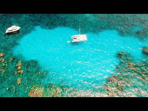 Trapped Inside Dangerous Coral Reef!!! Ep.173