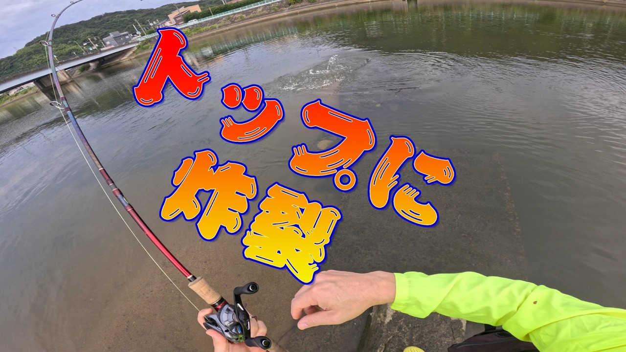 トップに炸裂　2025秋