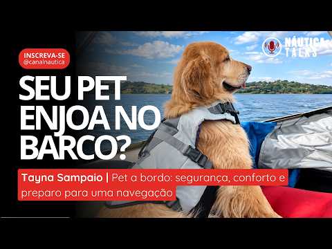 "Gato não sai de casa"? MENTIRA: veterinária mostra gatos que adoram barco | NÁUTICA Talks