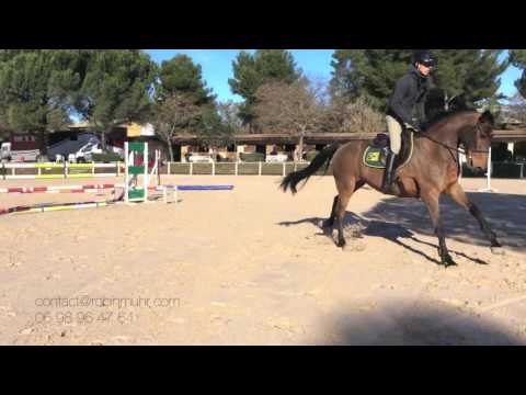 Voltigeur - Entrainement