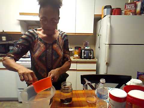 MILK KEFIR GRAINS USED FOR WATER KEFIR