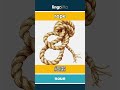 rope - 绳索 video thumbnail