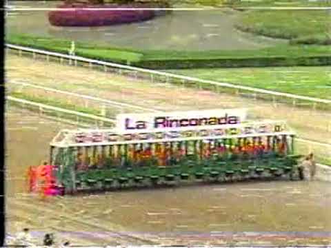 🔆 Clasico del Caribe 1985 PATILARGO  🔆