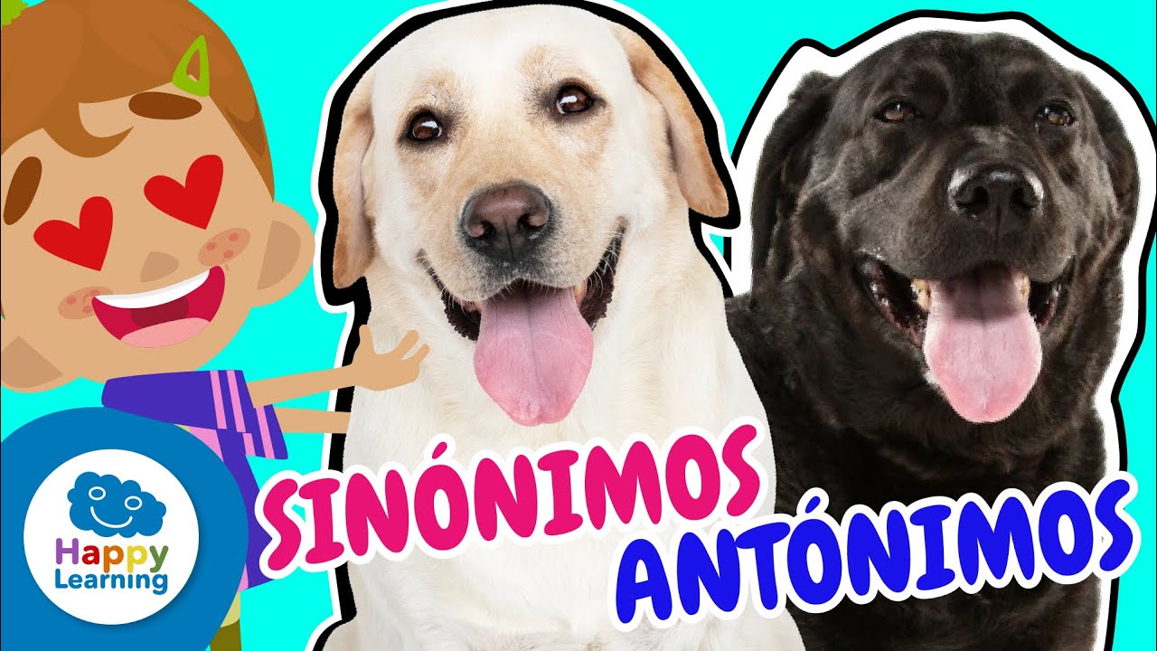 Descubre los Sinónimos y Antónimos | Happy Learning 📚✨