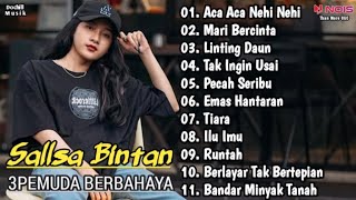 Download lagu Aca Aca Nehi Nehi ( Dadido ) Sallsa Bintan Feat 3Pemuda Berbahaya Full Album Musik Mp3 mp3