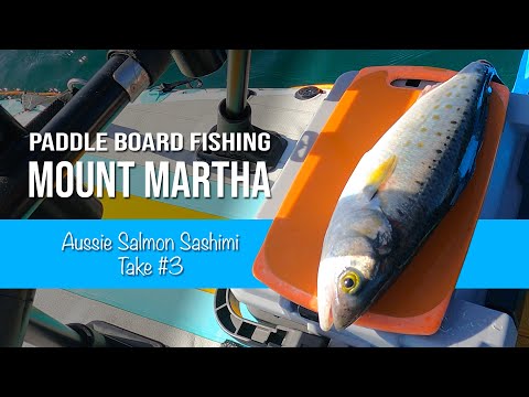 Paddle Board Fishing Mount Martha – Aussie Salmon Sashimi : Take 3