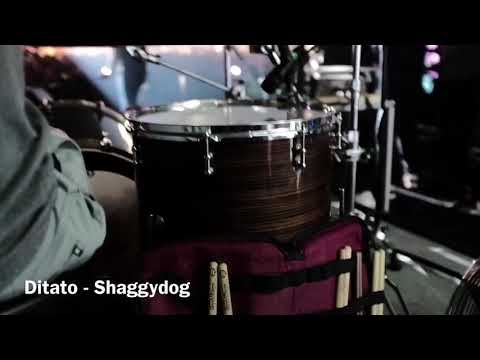 Ditato - Shaggydog, yoyojog drumCam