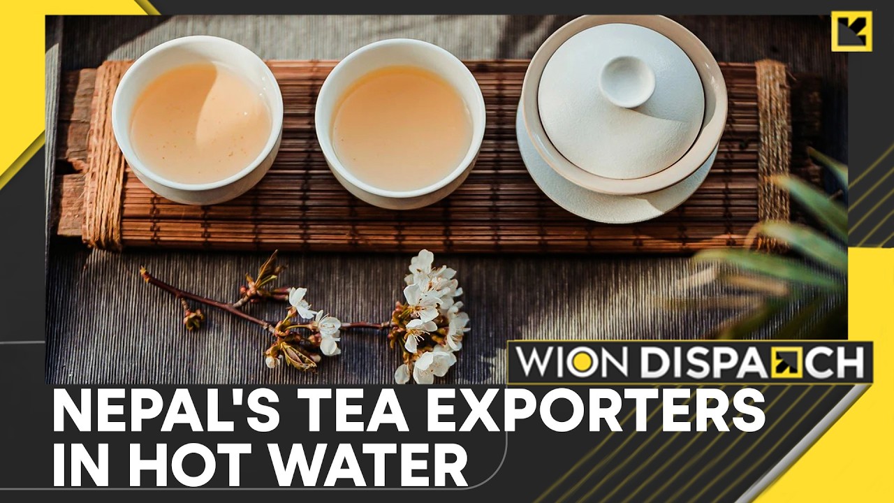 All Tea Imports In India To Undergo Mandatory Testing | WION Dispatch