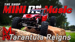 Tarantula Reigns - The Shop - RC Music