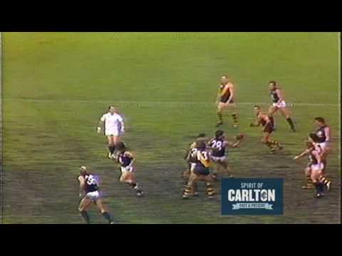 Wayne Johnston 1984 - Carlton Football Club Past Player