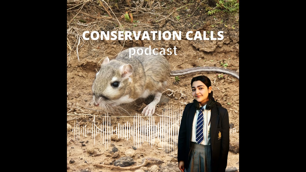 Mexican Miracle: The fight to save the Kangaroo rat