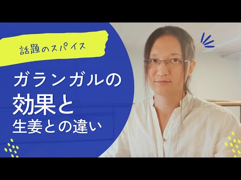 ガランガル、ガランガルの根 植物