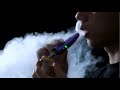 LOOKAH Whale Electric Nectar Collector