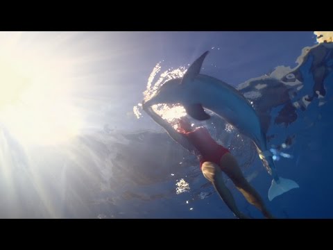 Dolphin Tale 2 (Featurette 'True Story')