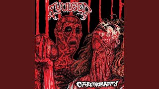 Gangrened Divine Stigma (Live)