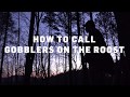 Turkey Calling Tips Lesson 3 How To Call To Gobblers On The Roost