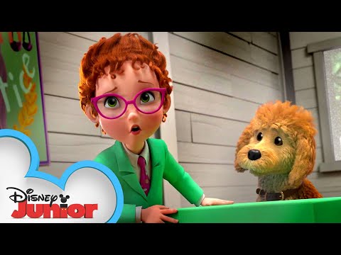 Frenchy Takes The Stand 🐩 | Fancy Nancy | @disneyjr