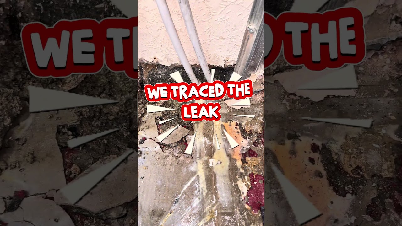 Boiler Losing Pressure in W10 London – Hidden Leak Found Using Hydrogen Detection
