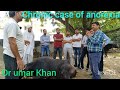 Chronic Case Of Anorexia In Buffalo L Pashuon Mein Bhookh Ka Ilaaj Dr Umar Khan