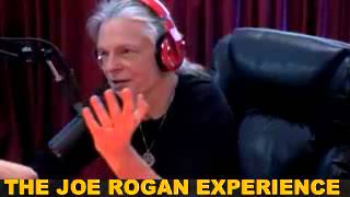 Joe Rogan Experience #359 - Alex Grey