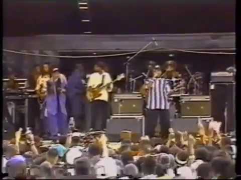 Daddy Screw & Donavon Steel   New York Reggae Festival