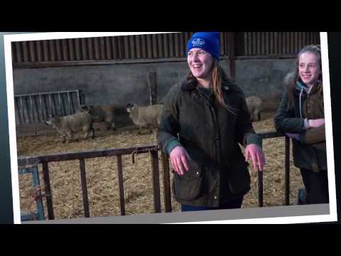 Shetland Monitor Farm