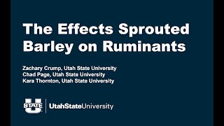 The Effects of Sprouted Barley on Ruminants