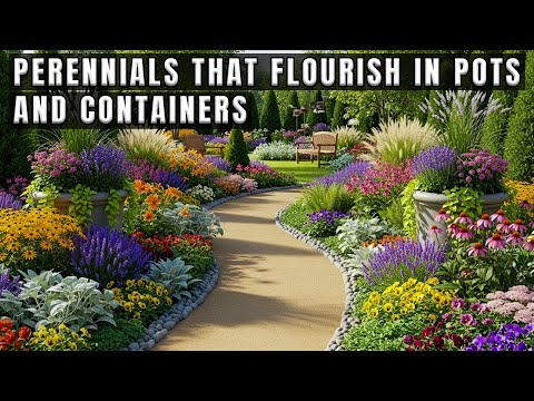 17 Easy, Low-Maintenance Perennials for Pots—Stress-Free Gardening for Lazy Gardeners!