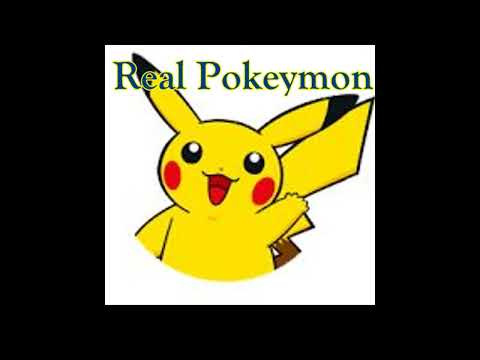 DADDY2SEC - Real Pokeymon