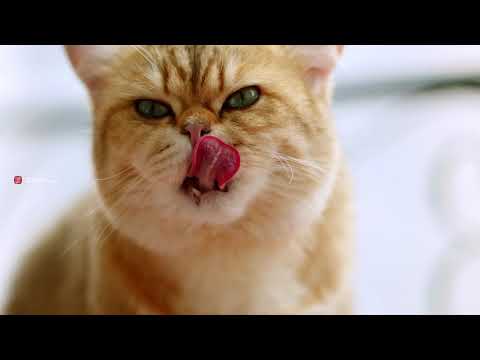 你好，请叫我周肠旺，第一次用BMPCC6K拍摄