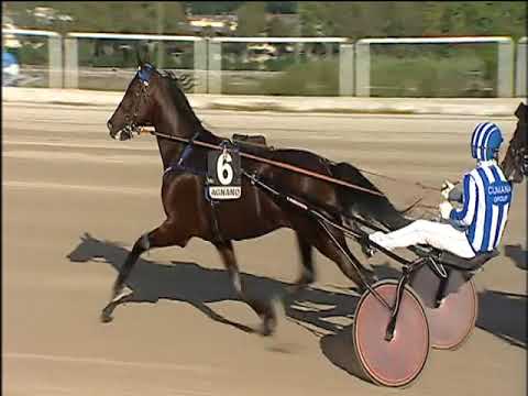 Trotto 20/10/2019 - 5ª corsa