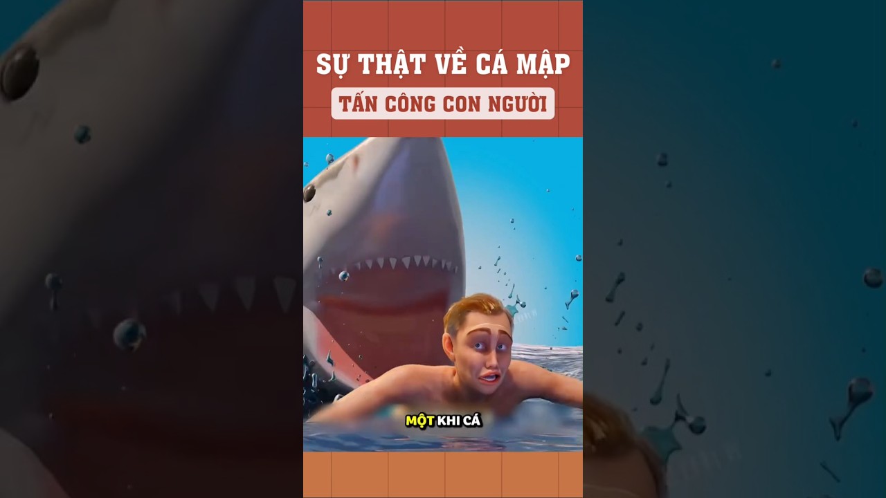 Sự thật về cá mập tấn công con người