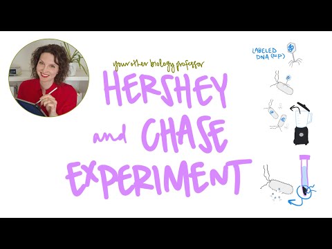 DNA oder Protein? Wie Hershey und Chase die Biologie veränderten