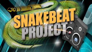 Snakebeat Project Special Mix # 19 Welcome Back Robphazer mixed by DJ - Ziri vs. RobPhazer