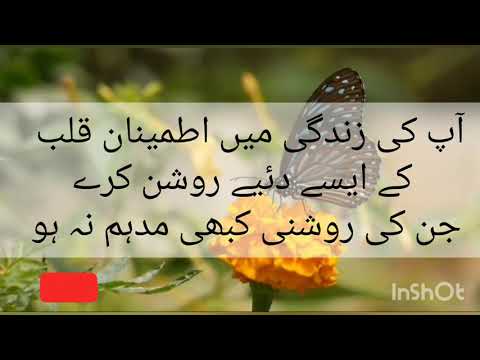 good Morning wishes.subha ks salam .good morning  whatsapp status