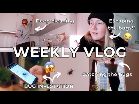 WEEKLY VLOG // APARTMENT INFESTED WITH BUGS, deep cleaning, mini food haul and first snow in London!
