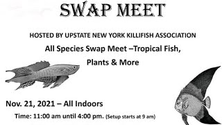 UPSTATE NEW YORK KILLIFISH SWAP. BONUS RUNNING INTO AN AWESOME FELLOW YOUTUBER AND HER FAMILY